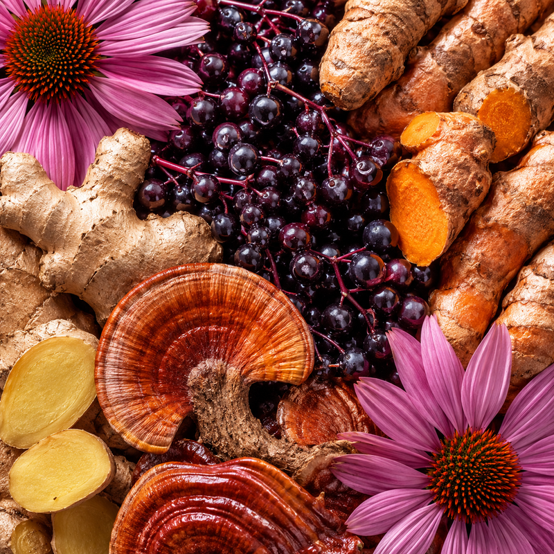 Botanical Immune Defense Blend*
