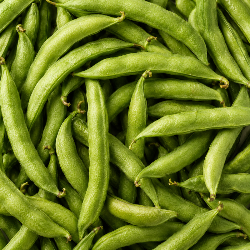 PHGG Prebiotic Fiber*
